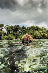Diving from Lissenung Resort PNG, 10 year old Gabriel fro... by Hunter Smith 